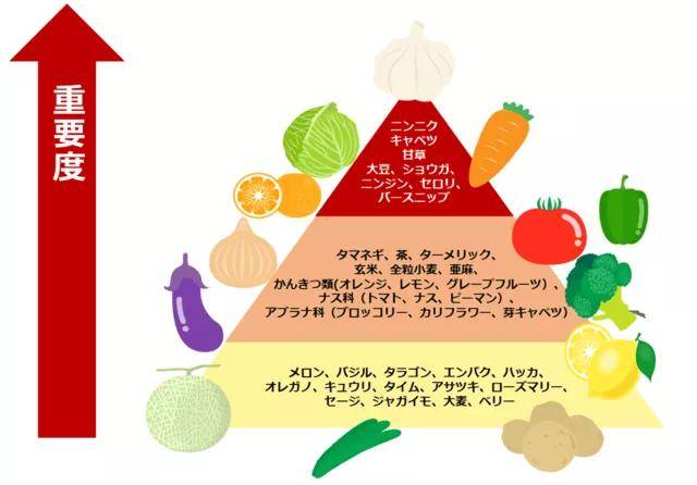 日本腾素能天天吃?剂量、风险与真相 日本腾素能天天吃?剂量、风险与真相
