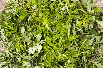 艾草